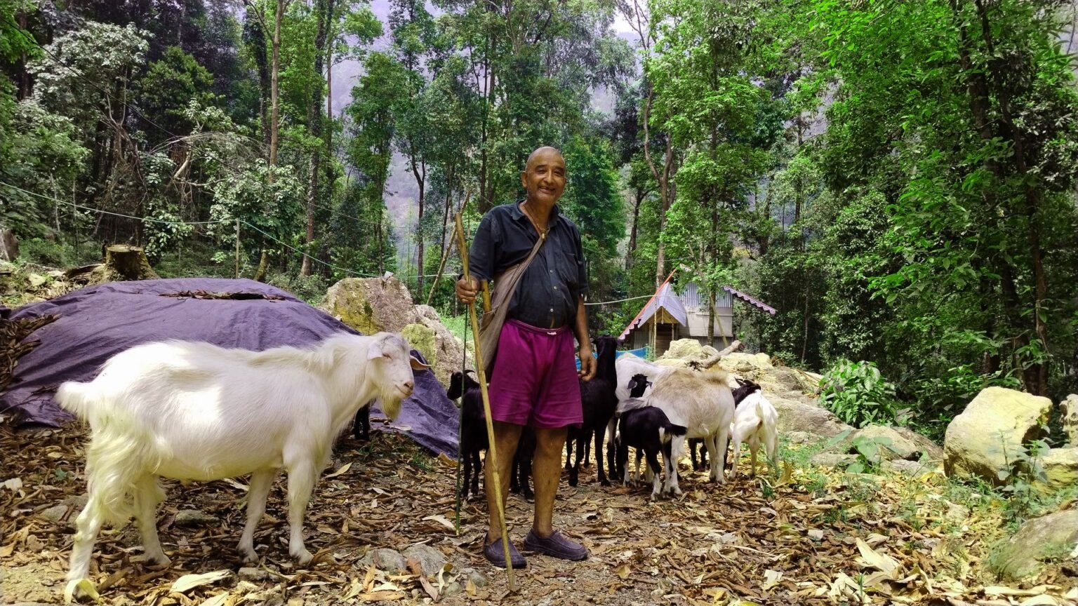 the pc homestay