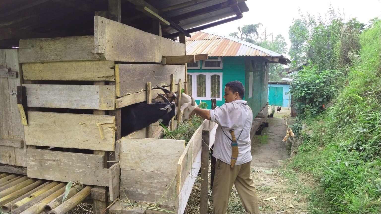 jpeg-optimizer_the pc homestay 17